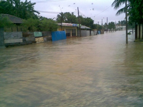 Ponpitreo Road Nallur Jaffna after Cyclone Nisha November 2008