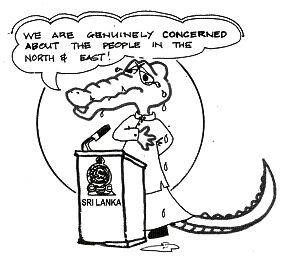 Alligator_cartoon