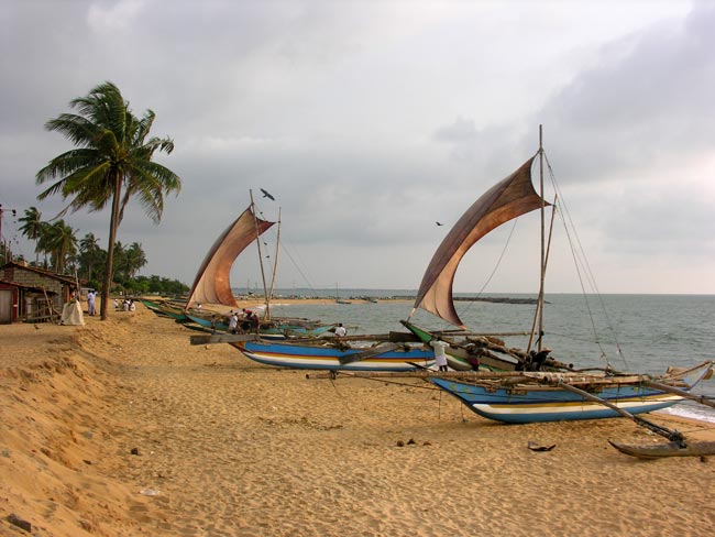 Jaffna fishing boats