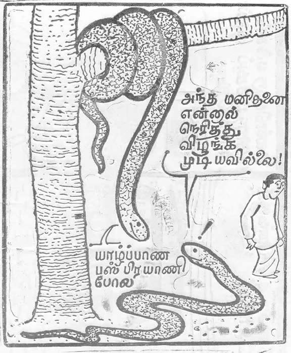 'Siritharan' Sunthar Sivagnanasuntharam cartoon