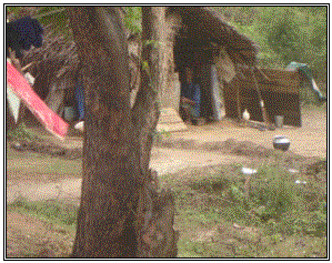 Displaced in Vanni Caritas-HUDEC October 2008