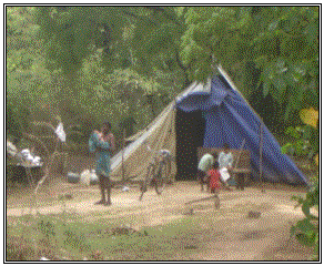 Displaced in Vanni Caritas-HUDEC October 2008