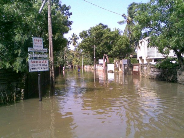 Aman Road, Nallur, Jaffna after Cyclone Nisha November 2008