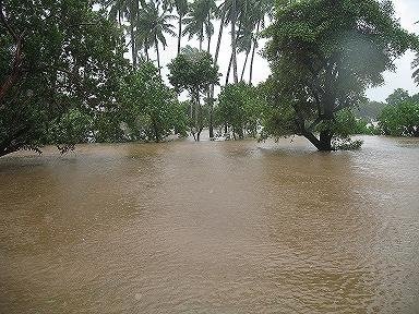 Inuvil Jaffna after Cyclone Nisha November 2008