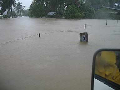 Inuvil Jaffna after Cyclone Nisha November 2008