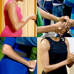 MIchelle's Arms