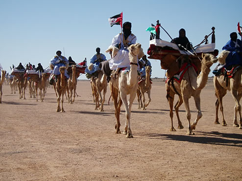 Polisario's camel corps.