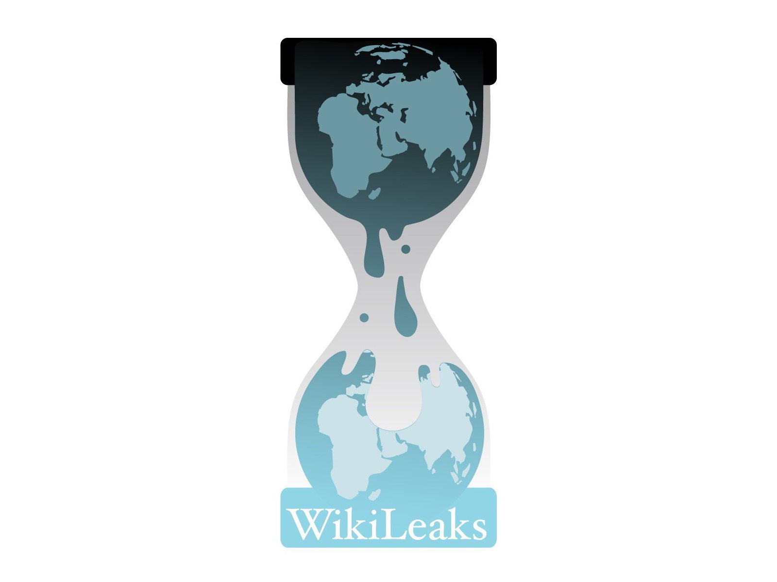 Image result for wikileaks logo