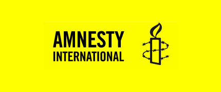 Image result for Amnesty logo