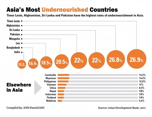 Asian Development undernourished