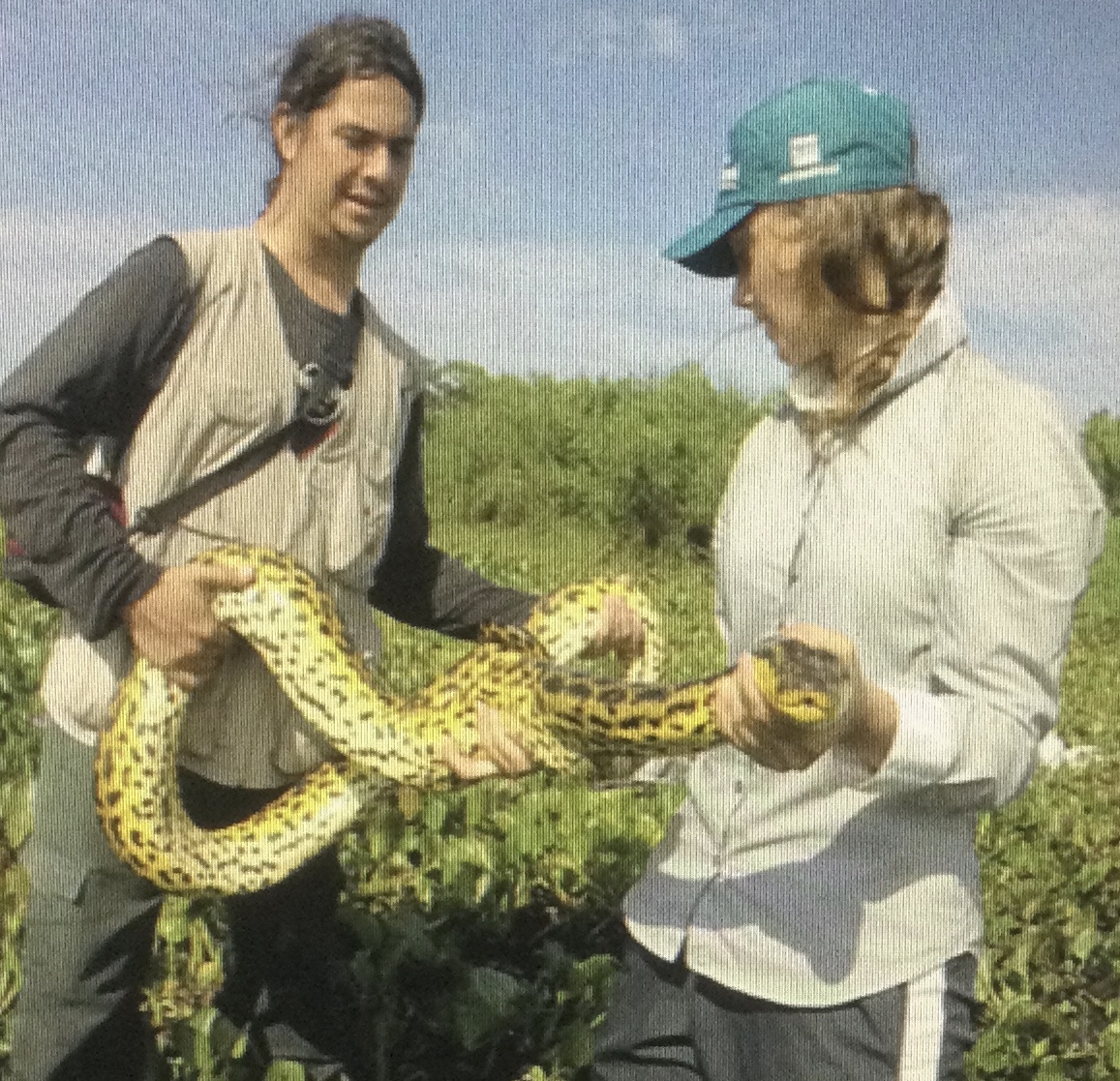 Anaconda Snake and its Etymological Roots from Elephant – Ilankai Tamil ...
